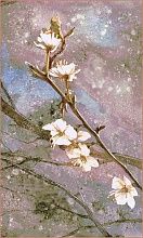 Шерстяной ковер натуральный фиолетовый Hunnu 6A1555-65