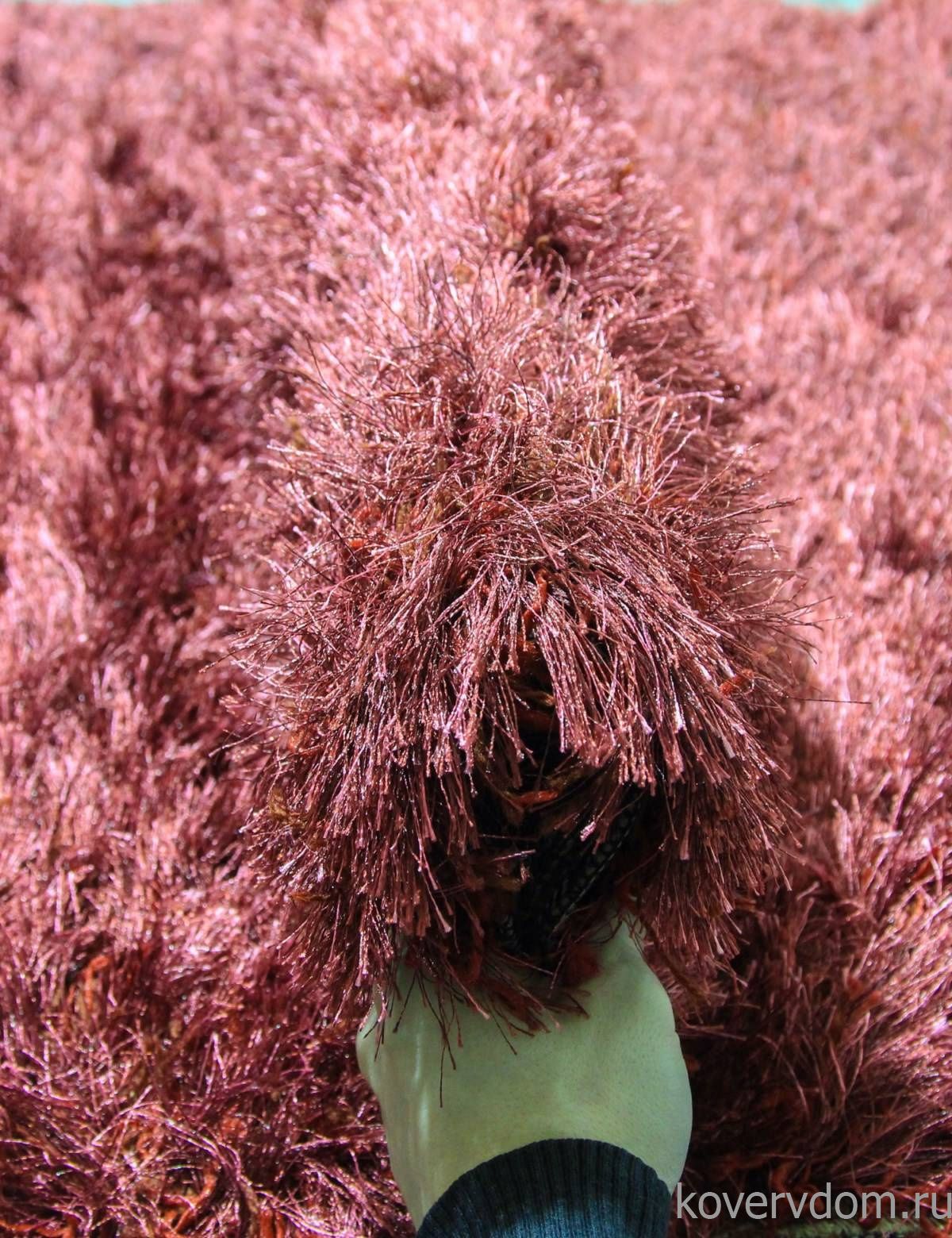 Ковер RHAPSODY 25-01 308 Круг V Ковер RHAPSODY 25-01 308 Круг V