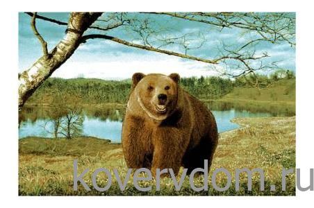 Ковер Ландшафт 50381 01  Ковер Ландшафт 50381 01